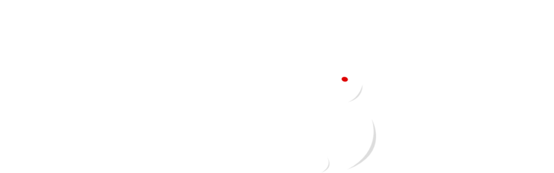 01Rabbit